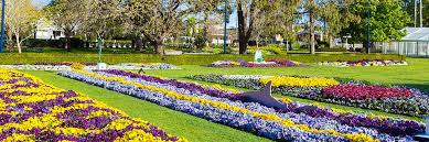 Toowoomba Carnival Of Flowers Tours Aussie Touring