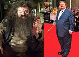 The series is distributed by warner bros. 15 Of Harry Potter Cast Then And Now Harry Potter Cast Robbie Coltrane Harry Potter
