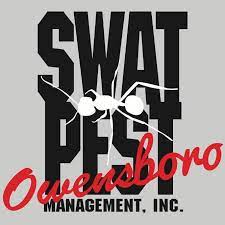 Evansville post office in vanderburgh county, in 47708. Swat Pest Management Of Owensboro Home Facebook