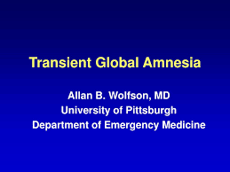Image result for Transient Global Amnesia