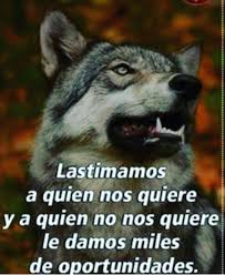 Pin En Frases De Lobos
