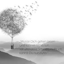 Der einzige tag, an dem du bereuen wirst, dass du dir einen hund angeschafft hast, ist der tag, an dem er von dir gehen muss. Trauergedicht Musste Dich Gehen Lassen Anubis Tierbestattung Tiertrauer Gedichte Trauer Trauergedicht Spruche Trauer
