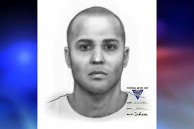 Sketch released of Route 78 road rage gunman