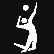 The volleyball tournaments at the 2012 olympic games in london were played between 28 july and 12 august. Volleyball At The 2012 Summer Olympics Wikipedia