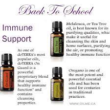 Top 7 Melaleuca Oil Benefits Melaleuca Diy Recipes Coconut Oil For Acne Oils For Skin Oil Benefits
