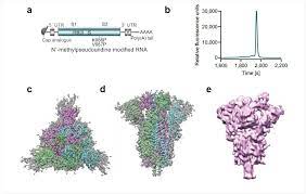 The other candidates are known as bnt162a1, bnt162b1, and bnt162c2. Pfizer Biontech Covid 19 Vaccine Candidate Shows Promise In Preclinical Study