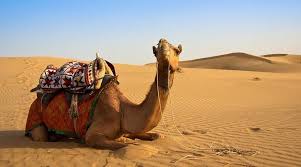 Dalle vette delle dolomiti dell'oman alle wahiba sands: Crossing The Wahiba Sands Desert Explorers Connect