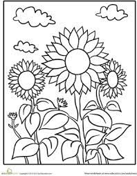 Life cycle of a sunflower worksheet pack. Sunflower Patch Worksheet Education Com Sunflower Coloring Pages Summer Coloring Pages Flower Coloring Pages