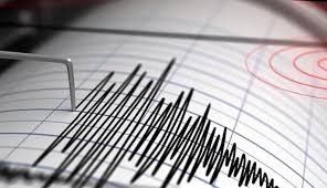 We serve the public, the re/insurance and ils communities and. Sismo En Nayarit Reportan Temblor De Magnitud 5 6 En La Costa