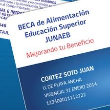 Www.junaeb.cl, operador sodexo o directamente. Ya Puedes Comprar Online Con Tu Beca Junaeb Etc