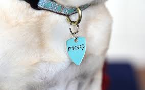 These range in what they cover as. Let S Talk Pet Health Insurance Top Dog Tips
