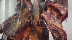 Freezer full of steak and roasts etc. Slaughter Butcher House Hanging Horse Meat And Beef In Freezer Meat Carcass Hanging In A Meat Factory Producing Stock Footage Video Of Muscle Horse 139785020
