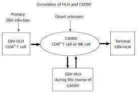 Treatment Of Epstein Barr Virus Related Hemophagocytic