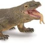 Collecta - Komodo Dragon