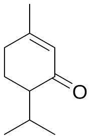 Image result for Diplolophium africanum