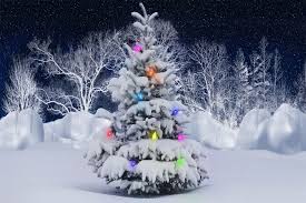 Hình ảnh giáng sinh cây thông noel tuyệt đẹp năm 2019-2020