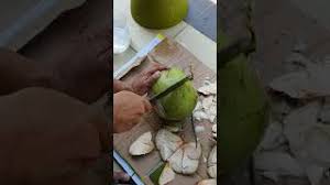 Dia kemudian dengan tangan satunya lagi mengangkat kaosnya ke atas dan sekarang hanya tinggal kaos kutangnya saja. Contoh Kertas Kerja Projek Tanaman Kelapa Matag Cute766
