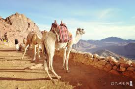 Published on jan 26, 2009. Mt Sinai Sunrise Visiting Moses Mountain From Eilat Israel In 2 Days Wonder Israel