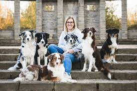 The mini australian shepherd also is known as miniature american shepherd or mini aussie is a small working dog that originated in california. Herzlich Willkommen Bei Den Dreamfield Aussies Dreamfield Mini Standard Australian Shepherds Dmc Aussies