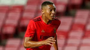 Alli, who has been a fringe. Carlos Vinicius Tottenham Agree Deal To Sign Benfica Striker On Loan Football News Sky Sports