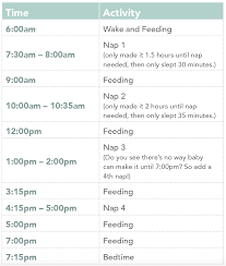 Schedules For Babies Margarethaydon Com