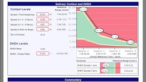 Hypothyroidism And High Cortisol Low Dhea Thyroid Uk