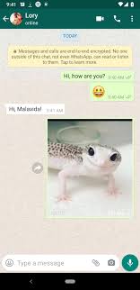 Whatsapp messenger apk detail is about hot apps whatsapp messenger apk for android. Whatsapp Messenger Free Download Free Whatsapp Messenger Use More Accounts For Android Apk Download Danishpoetshop
