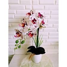Gubahan orkid 3 tangkai keliling. Buy Ready Stock Small Orchid Latex Phalaenopsis 3d Seetracker Malaysia
