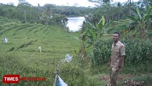 Wisata Sawah Terasering Di Desa Jambuwer Malang Tak Kalah Dengan Ubud Bali Times Indonesia