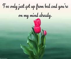 Your smile is the sunshine i need and your eyes are the sweet morning dew in my chilly morning. Romantic Good Morning Love Text Messages For Her Best Collection