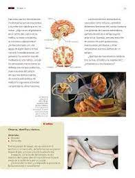 Catálogo de libros de educación básica. Apoyo Primaria Ciencias Naturales 6to Grado Bloque I Tema I Coordinacion Y Defensa Del Cuerpo Humano Cuerpo Humano Cuerpo Cosas
