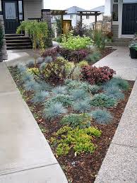 My Front Yard That I Share With My Neighbour Both Lots Are Pie Shaped So The Size Of The Front Yard Landscaping Small Front Yard Landscaping Yard Landscaping