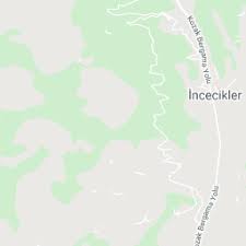 Izmir Bergama Kozak Yolu Uzeri Yola 0 Yola Cepheli Satilik Tarla Arazi 19 000 M2 2020 Tarim Resimler Ciftlikler