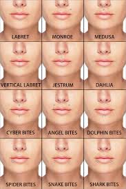 On Lip Piercings A Complete Guide To All Lip Piercings