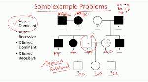 Pedigree Analysis Methods Dominant Recessive And X Linked Pedigree