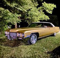 Image result for Gold 1971 Monaco