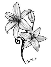 Image Result For Tiger Lily Tattoo Delicate Lily Flower Tattoos Tiger Lily Tattoos Calla Lily Tattoos
