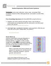 Rna and protein synthesis gizmo answer key pdf. Rna Protein Synthesis Gizmo Marcus Docx Name Marcus Caldera Date Student Exploration Rna And Protein Synthesis Vocabulary Amino Acid Anticodon Codon Course Hero