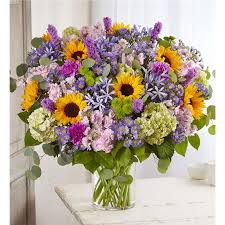 We did not find results for: 1 800 Flowers Radiant New York Ny
