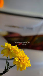 ياا أجمل من رأته عيني يا اجمل قدر بحياتي الله يديمك لي iphone wallpaper quotes love arabic tattoo quotes love quotes wallpaper