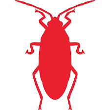 We are bakersfield's pest control company. Bed Bug Treatment Pest Control Services Bakersfield Ca Barton S Pest Service