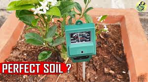 Gardens come in all shapes and sizes, and it is this variety that makes our work so fulfilling. Perfect Soil Ph 10 Natural Ways To Achieve Ideal Ph For Plants Youtube