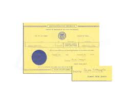 Summit New Jersey Birth Certificate Signed By A Deputy Of The Registrar New Jersey Birth Certificate Jersey