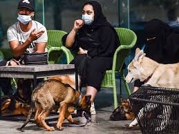 Mimpi melihat anjing berkelahi : Apa Nak Jadi Ni Barking Lot Kafe Anjing Pertama Dibuka Di Khobar Arab Saudi Orangmuo My