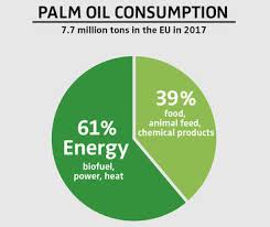 Palm Oil Deforestation For Everyday Products Rainforest