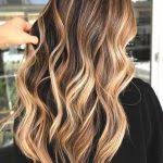 If you have natural brown hair or have recently colored your hair brown, then this hairstyle would sit brown hair and dark caramel highlights are a regal combination which is what makes it so much in demand. Caramel Highlights Dark Brown Hair Ecemella