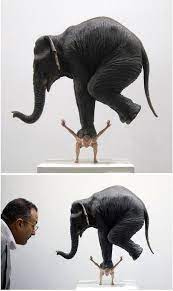 wind power electricity wind generated power for your home for more information visit http www alekogreenenergy com category s 1477 htm elefant