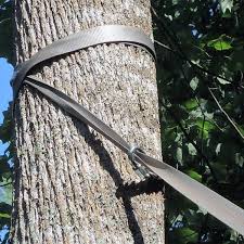 One of the inexpensive ways to hang a swing between two trees is to tie some ropes. Swing Hanging Kit Between 2 Trees Tree Swings Diy Wood Tree Swing Tree Straps