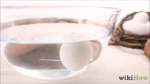 We did not find results for: 3 Modi Per Capire Se Un Uovo E Marcio Wikihow