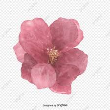 Fleurs Peintes En Rose Fleurs Plante Fleurs Aquarelles Image Png Pour Le Telechargement Libre In 2020 Pink Flowers Background Flower Painting Watercolor Flowers